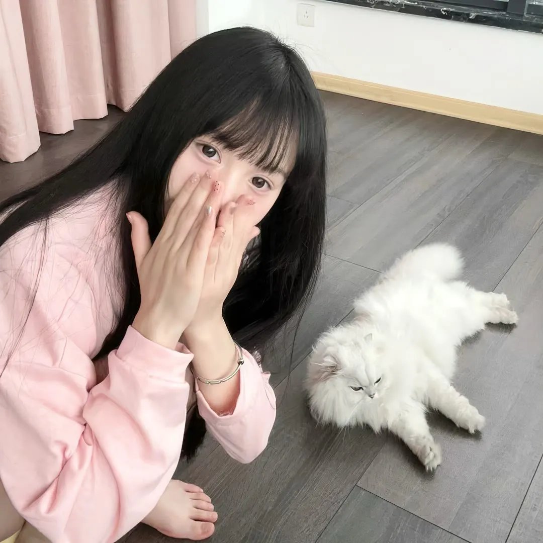 猪猪侠大电影·恐龙日记